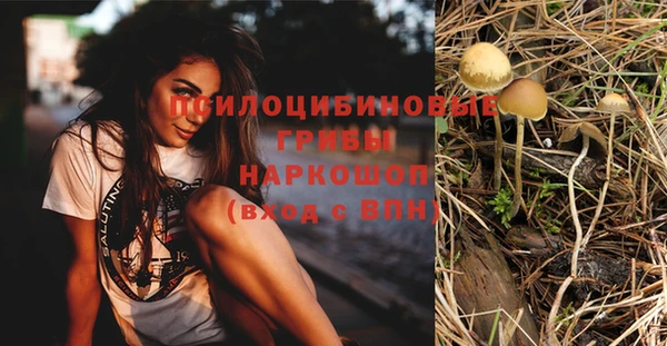 наркотики Снежинск