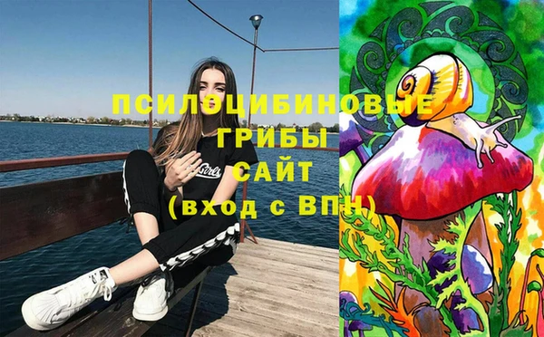 хмурый Слюдянка