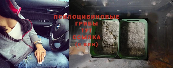 СК Абдулино
