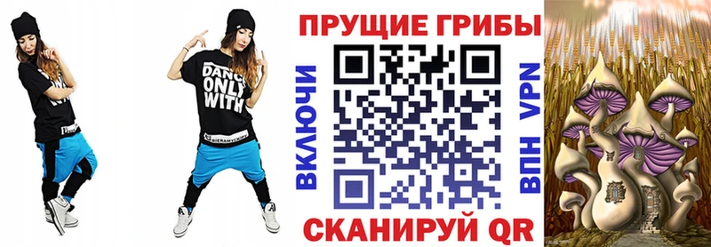 Псилоцибиновые грибы мицелий  Балахна 